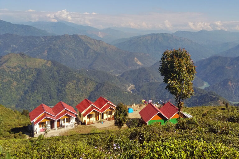 North Bengal tourism attracts Rs 9,600 crore investment proposals